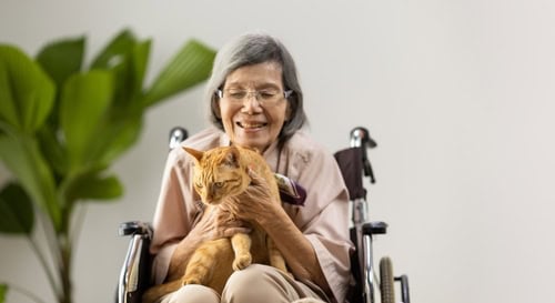 Psychological Benefits of Pet Therapy