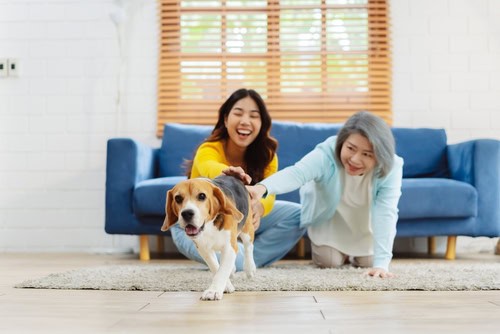 The Benefits of Pet Therapy for the Elderly