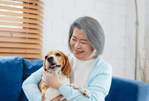 The Benefits of Pet Therapy for the Elderly
